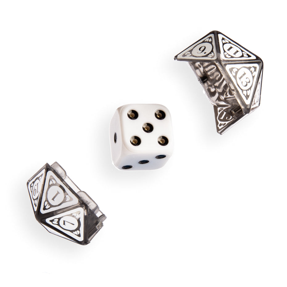 The 20 Sided Dice and the shell