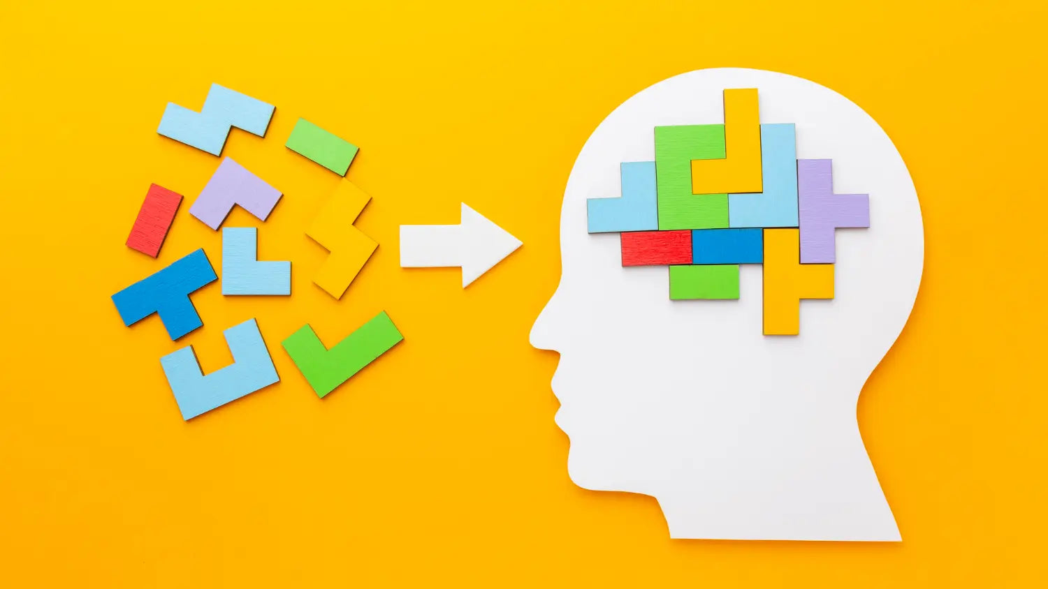 Brain Games for Adults: Fun, Focus, and a Sharper Mind
